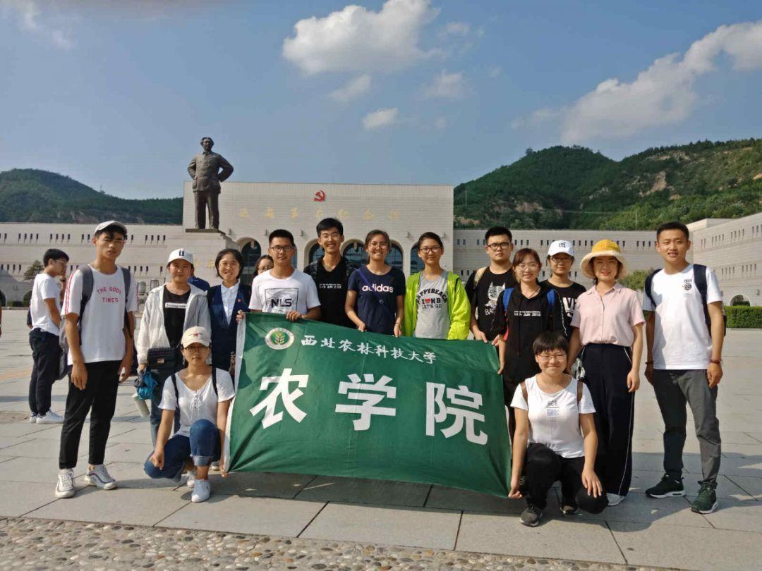 三国群英6